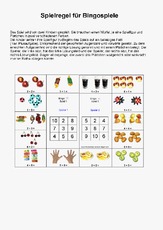 Bingo Regeln.pdf
